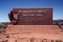 Petrified Forest National Park 1