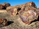Petrified Forest National Park 2