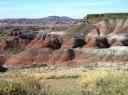 Petrified Forest National Park 3
