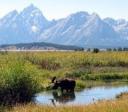 Grand Teton National Park 5