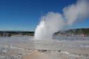 Yellowstone National Park 6