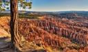 Bryce Canyon National Park 4
