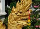 Chiang Mai (3)