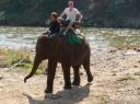 olifant rijden (1)