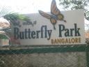 butterflypark1