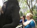 olifant3