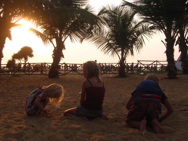 Srilankan koen яблочко Srilankan koen have