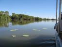 IMG_3985-1500