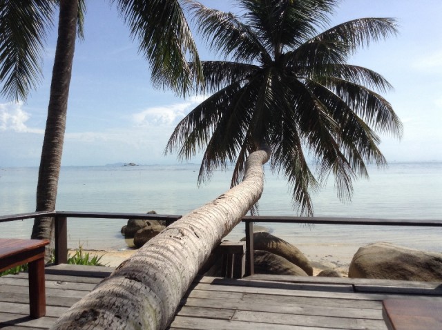 Sunset Cove Resort Marco Island Tripadvisor Sunset Cove Resort Marco Island Tripadvisor